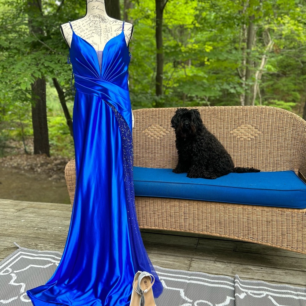 Absolutely stunning royal blue dress, worn to prom (maybe 4 hours). Size 2, XS